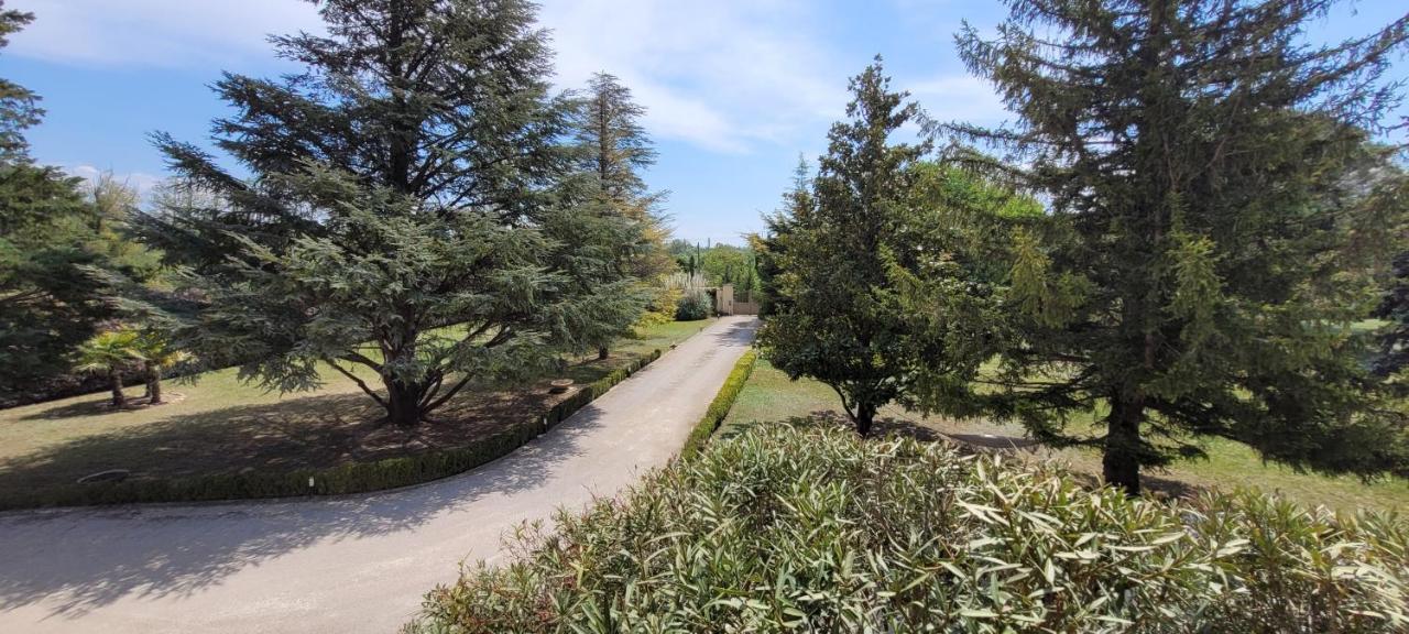 Entraigues-sur-la-Sorgue Villa Liberty المظهر الخارجي الصورة